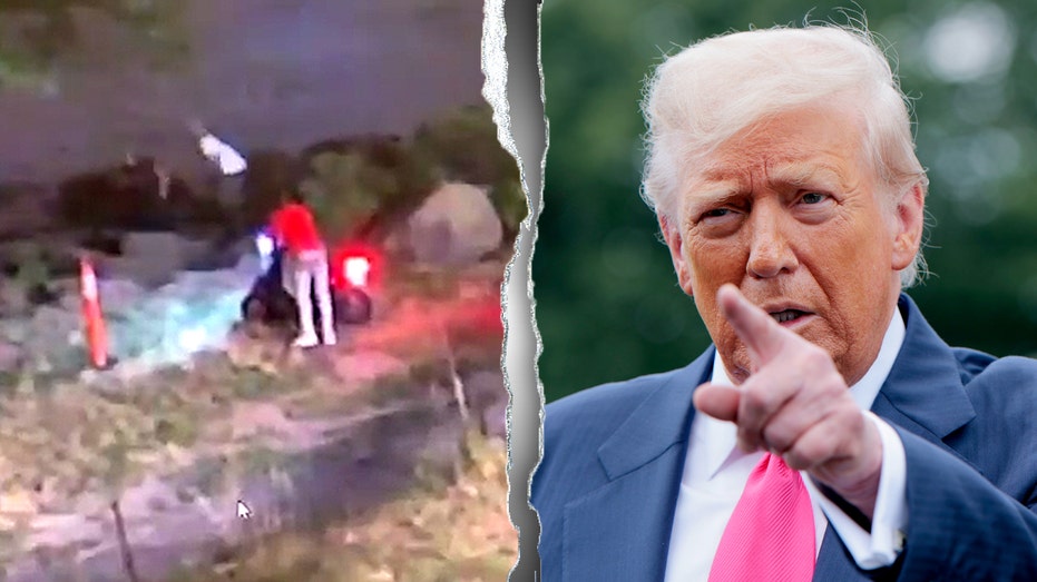 Трамп обвинил Байдена в освобождении преступника, ранившего офицера CBP в Нью-Йорке Thumbnail