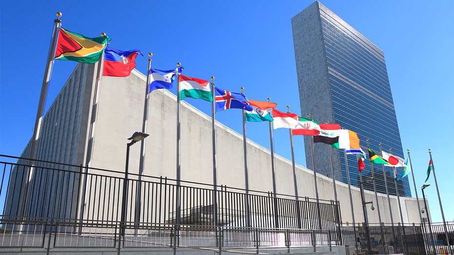 США игнорируют инициативу по признанию Палестины на фоне международных дебатов и разногласий Thumbnail