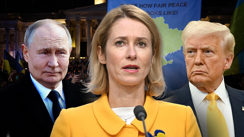 Европейский союз отвергает уступки Украине до достижения полного прекращения огня с Россией Thumbnail