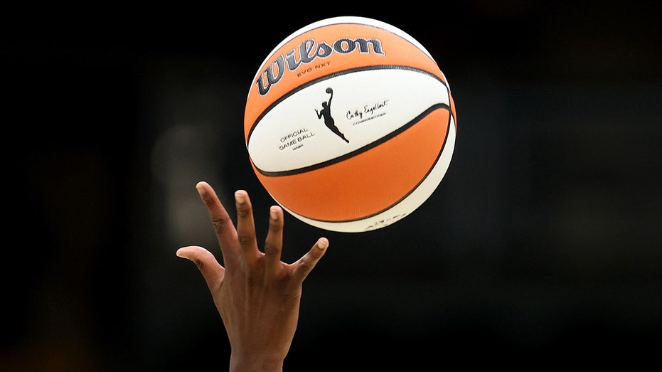 Владелище WNBA намерено привлечь к ответственности фанатов, бросающих секс-игрушки на корт во время игр Thumbnail