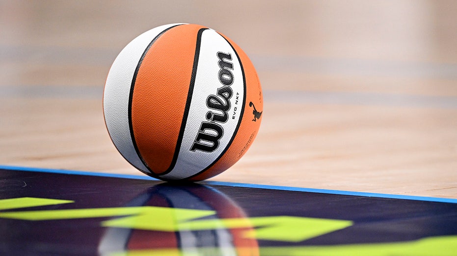 Владелец секс-игрушки, брошенной на поле WNBA, задержан — последствия для нарушителей ужесточены Thumbnail