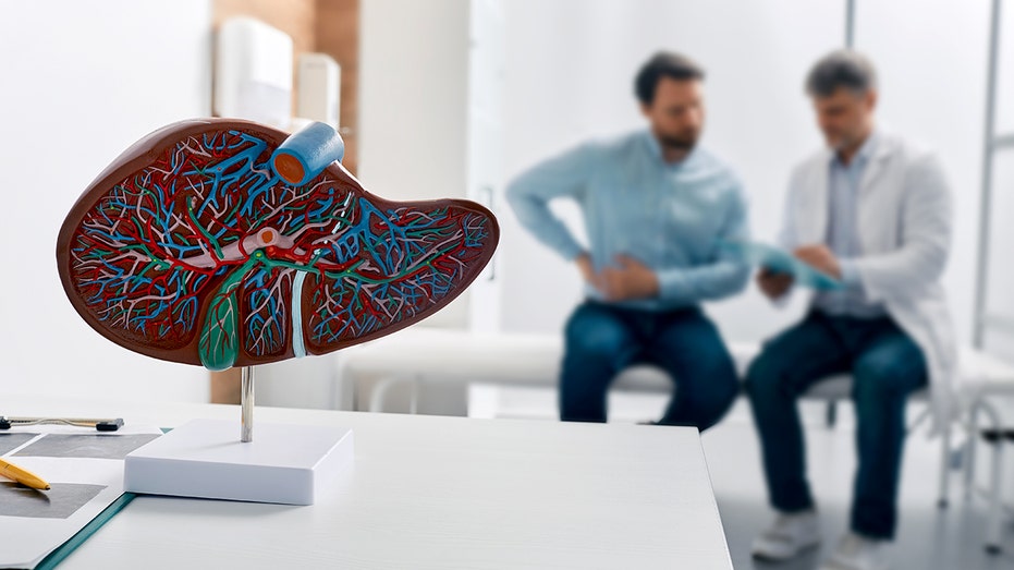 Всё, что нужно знать о вирусе гепатита В: опасности, профилактика и лечение Thumbnail