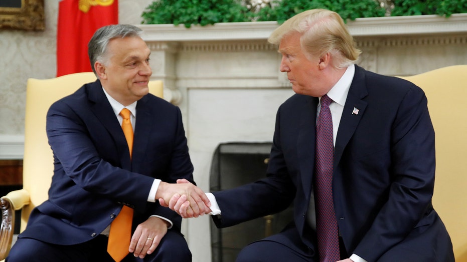 Венгерский дипломат оценивает «золотой век» отношений с США и роль Трампа в укреплении НАТО Thumbnail