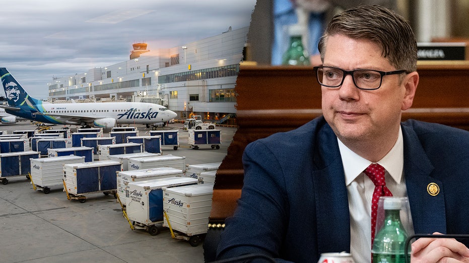 Вмешательство правительства вызывает угрозу продовольственной и медицинской безопасности в США из-за остановки авиасообщения Thumbnail