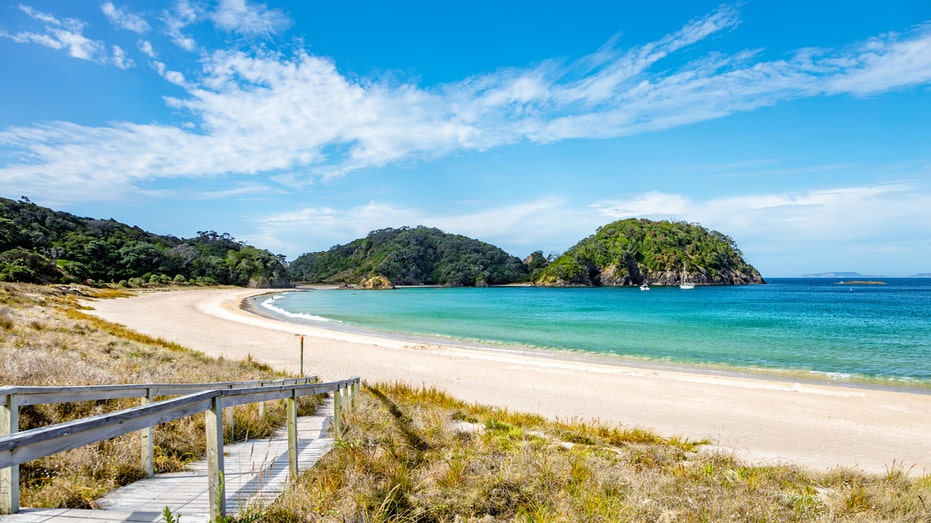 Новые возможности для богатых: Новая программа «золотой» визы в Новой Зеландии привлекает все больше иностранных инвесторов Thumbnail