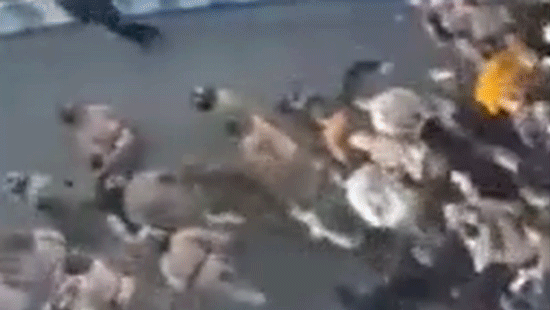 Массовые протесты в Иране набирают силу: международная поддержка и внутренние волнения Thumbnail