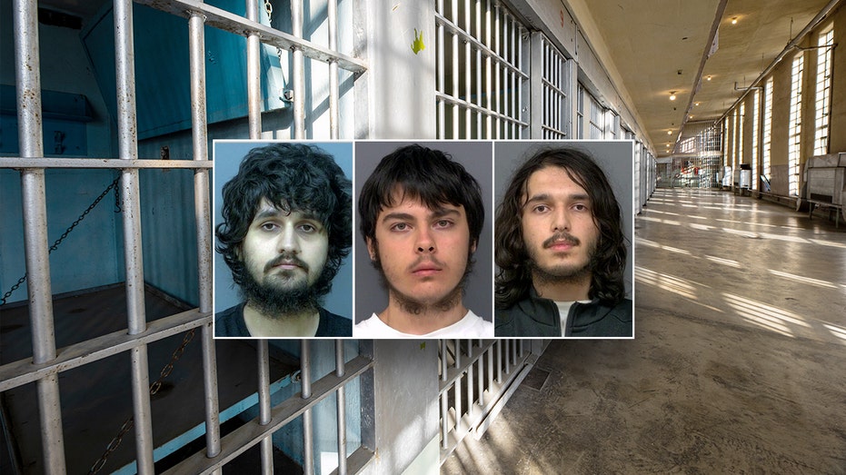 Канадские правоохранительные органы разоблачили подозреваемого в сговоре с ИГИЛ и нападениях на представителей еврейской общины Thumbnail