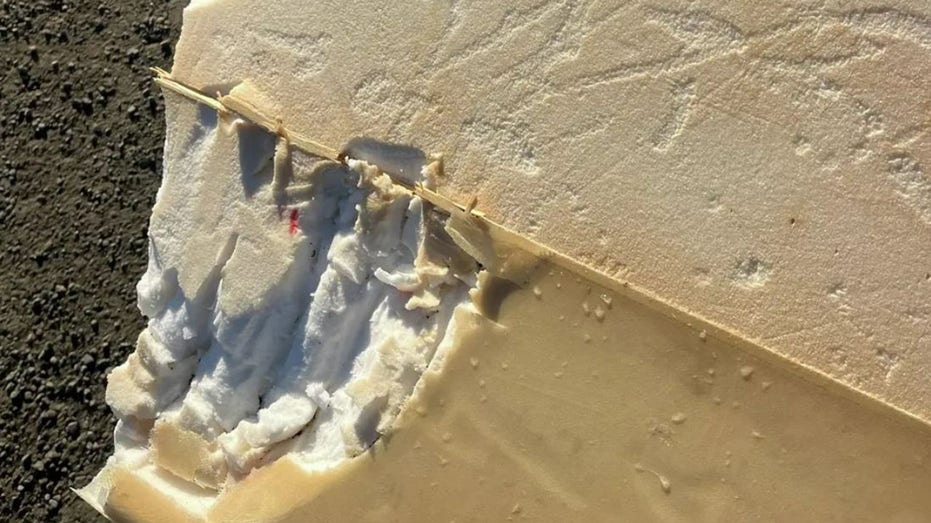 Атака акулы на серфера в Северной Калифорнии: как ощущается встреча с морским хищником и что произошло Thumbnail