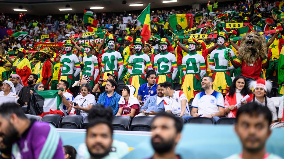 Возможны ограничения для болельщиков из некоторых стран на посещение Чемпионата мира в США Thumbnail